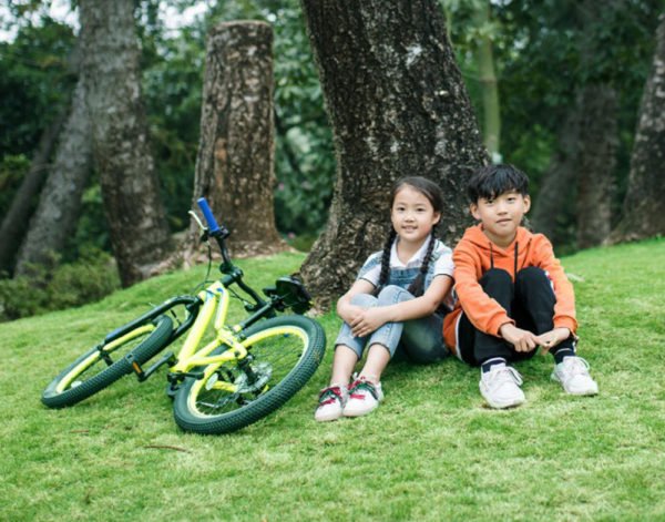 Xiaomi Qicycle XC200 Mountain Bike - Image 5