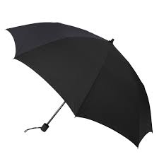 Xiaomi Mijia Automatic Folding Umbrella